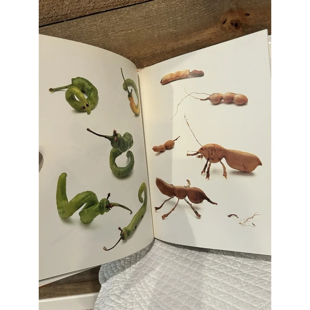 Play with Your‎ Food by Joost Elffers (1997, Hardcover)
